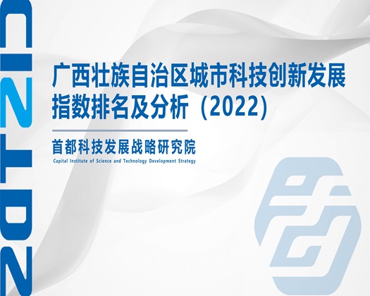 欧美和俄罗斯一级日屄小说视频【成果发布】广西壮族自治区城市科技创新发展指数排名及分析（2022）